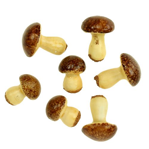 Floristik24 Champiñón Mix Brown 24pcs