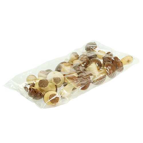Floristik24 Champiñón Mix Brown 24pcs