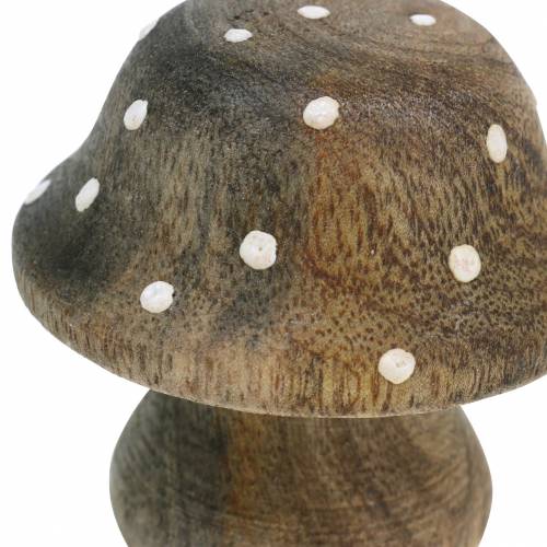 Floristik24 Seta decorativa madera naturaleza 5cm 6pcs