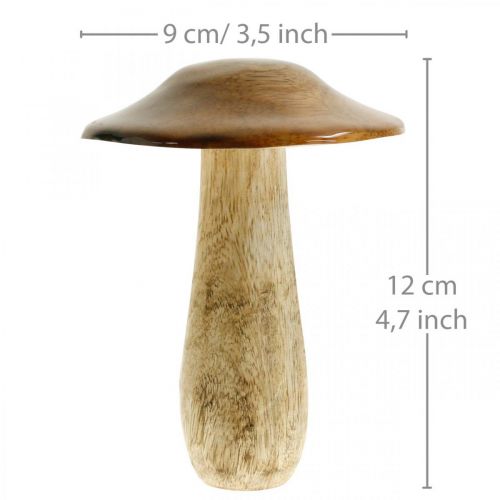 Floristik24 Hongo mango madera marrón, naturaleza decoración de mesa otoño Ø9cm H12cm 2ud