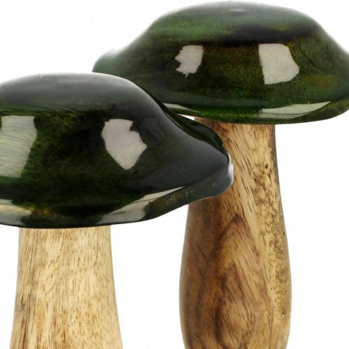 Floristik24 Hongo verde mango madera decoración otoñal de madera Ø9cmH11cm 2pcs