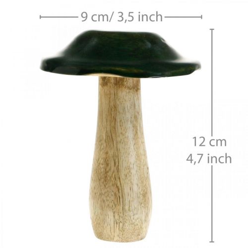 Floristik24 Hongo verde mango madera decoración otoñal de madera Ø9cmH11cm 2pcs