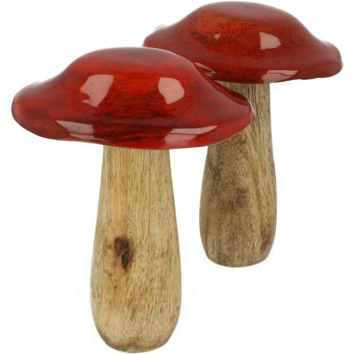 Floristik24 Hongo madera de mango rojo, decoración natural otoño Ø9cm H12cm 2pcs