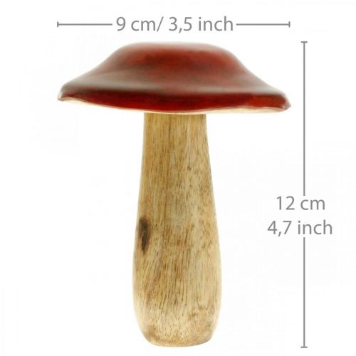 Floristik24 Hongo madera de mango rojo, decoración natural otoño Ø9cm H12cm 2pcs
