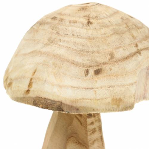 Floristik24 Hongo paulownia madera Ø16cm H18cm