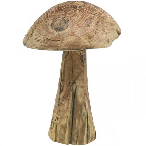 Floristik24 Hongo, madera de paulownia, otoño, decoración de madera Ø18–20cm H28cm