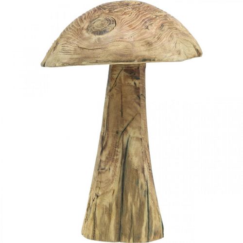 Floristik24 Hongo, madera de paulownia, otoño, decoración de madera Ø18–20cm H28cm