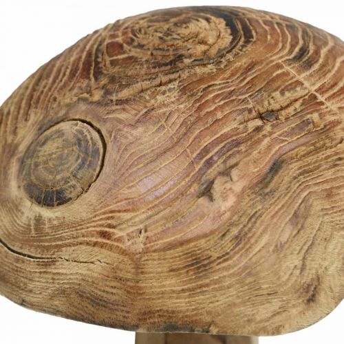 Floristik24 Hongo, madera de paulownia, otoño, decoración de madera Ø18–20cm H28cm
