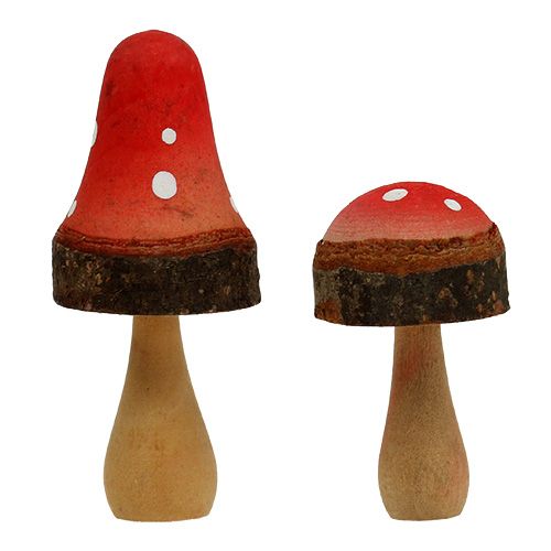 Floristik24 Setas de la mezcla de madera 5,5cm - 8cm 8pcs