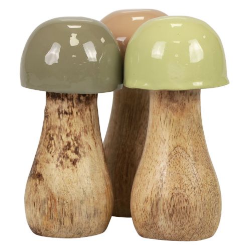 Floristik24 Setas de madera Setas decorativas madera beige, verde Ø5cm H10,5cm 6ud