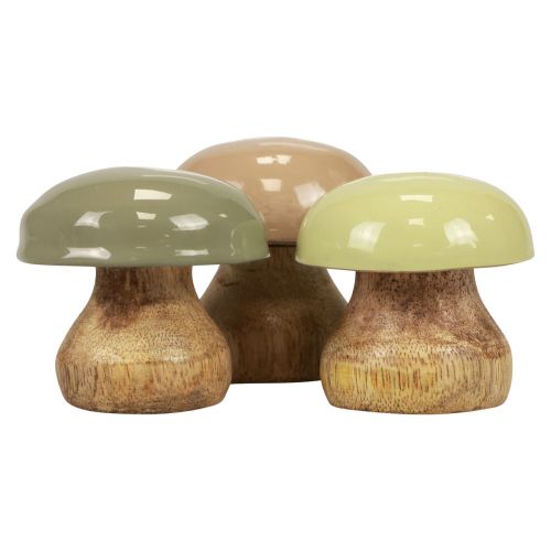 Floristik24 Setas de Madera Deco Setas Madera Deco Beige, Verde Ø5cm H5.5cm 12ud