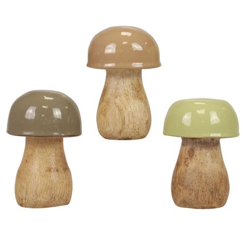 Setas de madera Setas decorativas madera beige, verde Ø5cm 7,5cm 12ud