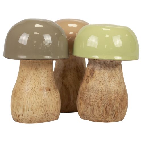 Floristik24 Setas de madera Setas decorativas madera beige, verde Ø5cm 7,5cm 12ud