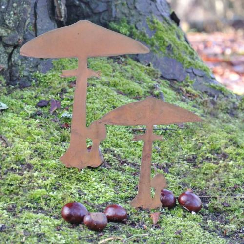 Floristik24 Rust deco seta jardín estaca metal decoración otoño 44cm