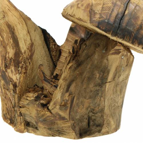 Floristik24 Setas ciruelo madera H27cm