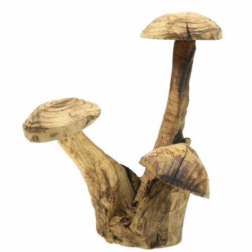 Floristik24 Setas ciruelo madera H27cm