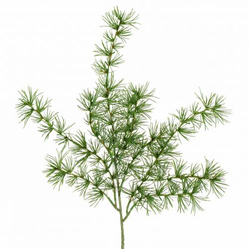Floristik24 Rama de pino artificial verde 53cm 3uds