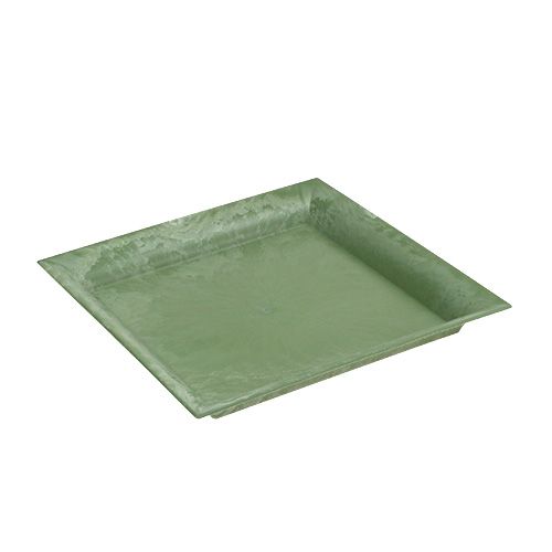 Floristik24 Plato de plástico cuadrado verde 19,5cm x 19,5cm
