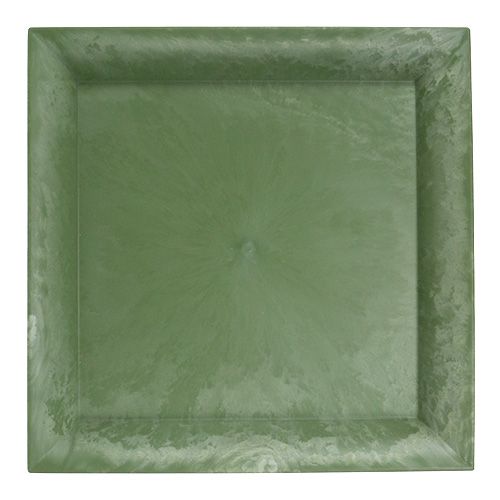 Plato de plástico cuadrado verde 19,5cm x 19,5cm