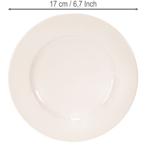 Platos redondos y sencillos para decoración y pequeños arreglos, 17 cm, 6 unidades. | Floristik24.es