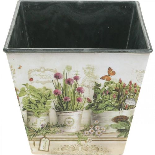 Artículo Maceta para hierbas, jardinera con motivo, jardinera H13cm W13,5cm