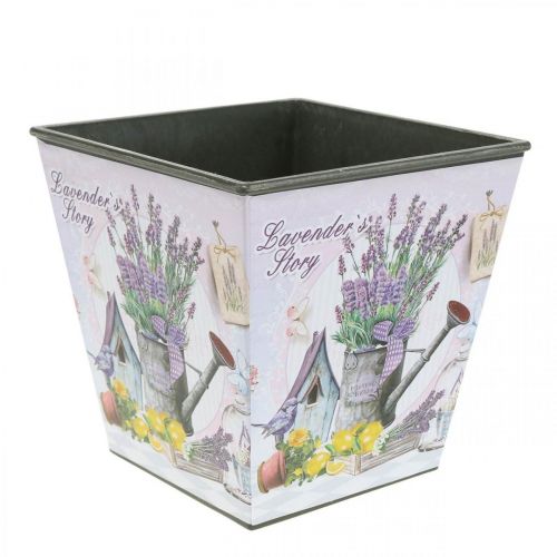 Floristik24 Macetero con motivo de lavanda, macetero decorativo cuadrado, macetero de plástico AL13cm AN13,5cm