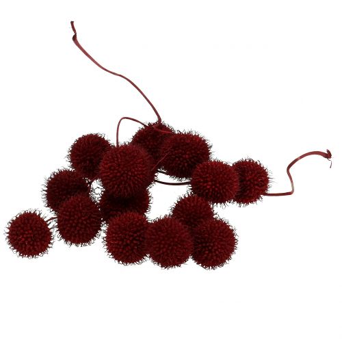 Frutos de plátano secos rojo oscuro 250g