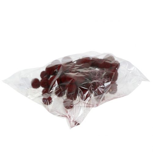 Floristik24 Frutos de plátano secos rojo oscuro 250g