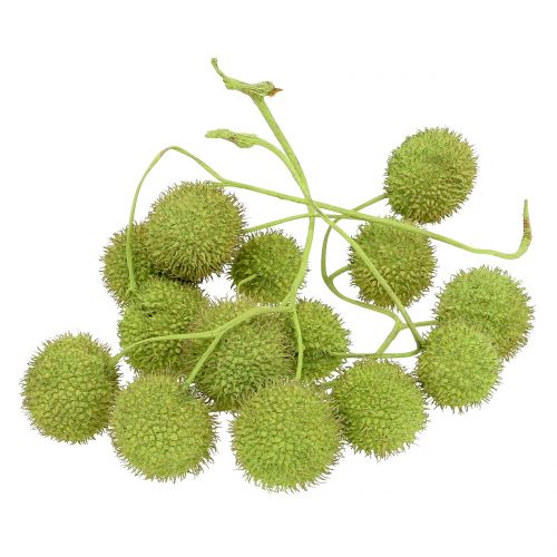 Floristik24 Plano fruta verde 200g