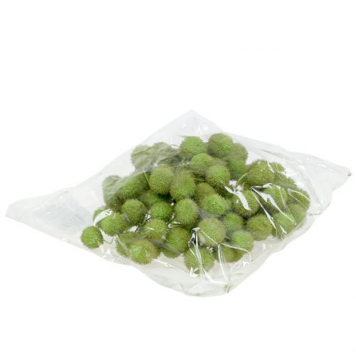 Floristik24 Plano fruta verde 200g