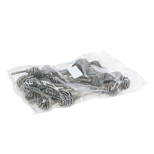 Artículo Platyspermum 25 uds. Blanco lavado