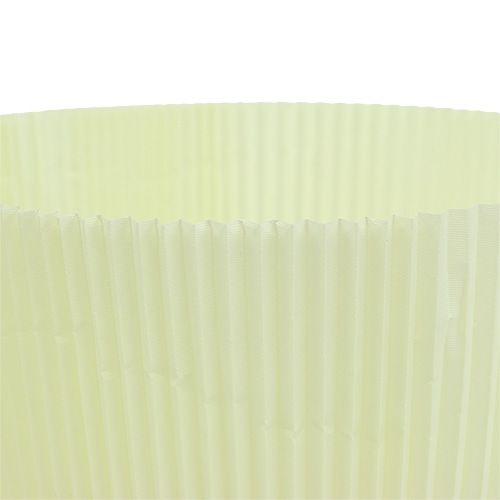 Floristik24 Puños Plisados Amarillo Claro 18,5cm 100pcs.