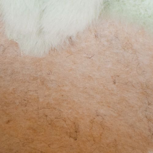 Artículo Cestas de almacenamiento con forma de conejito de Pascua para decoración de habitaciones infantiles y salas de estar, 18 cm, 2 piezas