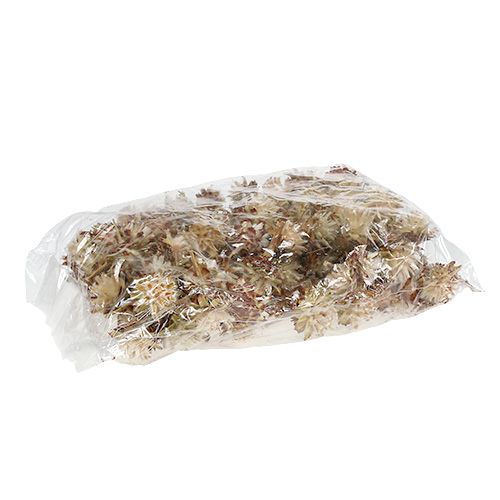 Artículo Plumoso de tallo corto 3-6 1kg