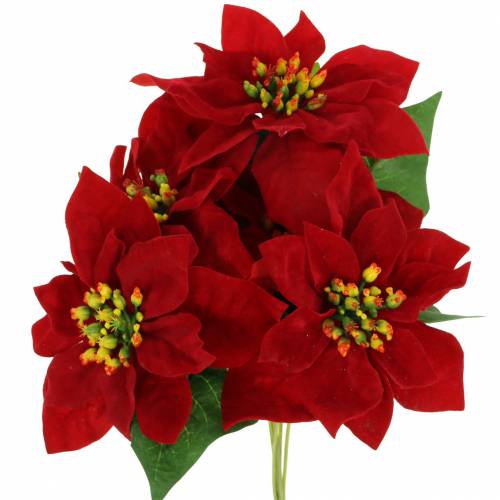 Floristik24 Ramo de flor de pascua terciopelo rojo 35cm