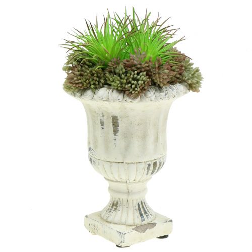 Floristik24 Copa de piedra antigua de fundición de crema Ø9cm H12cm 2pcs