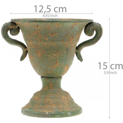 Floristik24 Ánfora de metal, taza para plantas, taza con asas Ø12.5cm H15cm