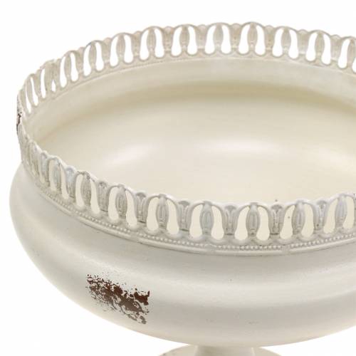 Floristik24 Taza para Plantas Cáliz Crema Antigua Ø20cm H20cm 1ud