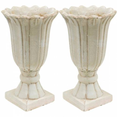 Floristik24 Ánfora decorativa, copa para plantar, copa para plantar tulipanes Ø12cm H25.5cm 2ud