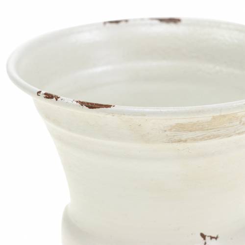 Floristik24 Taza para Plantas Cáliz Crema Antigua Ø7,5cm H9cm 1ud
