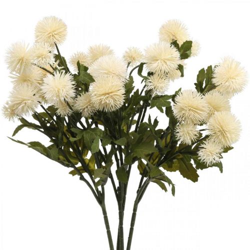 Floristik24 Rama de pompones crema deco rama otoño 55cm 4pcs