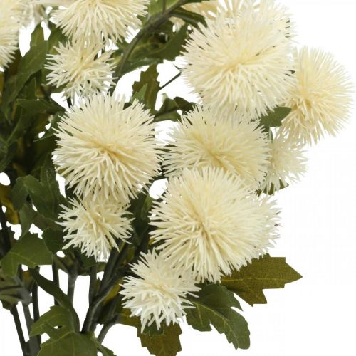 Floristik24 Rama de pompones crema deco rama otoño 55cm 4pcs