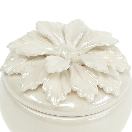 Floristik24 Caja de porcelana crema Ø7,5cm H6cm