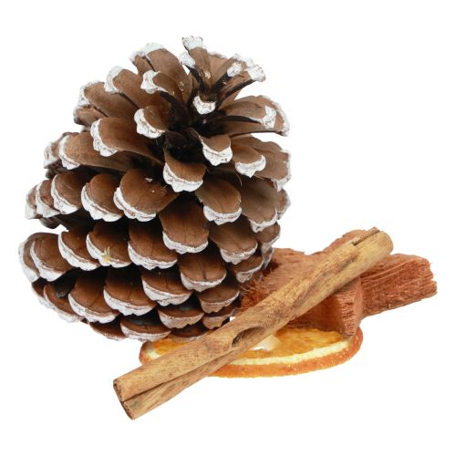 Floristik24 Popurrí navideño rodajas de naranja conos canela madera 150g