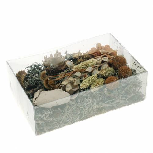 Floristik24 Herbstdeko Mix como set de manualidades Deshidratado Blanqueado 150g