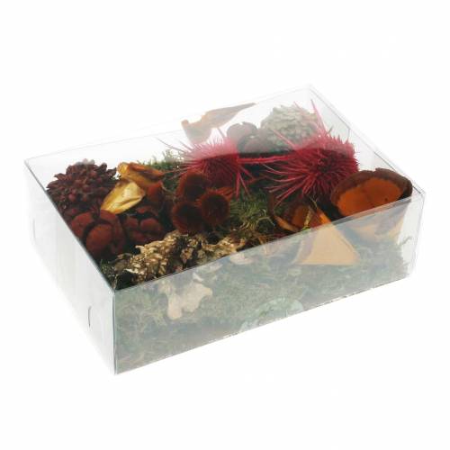 Floristik24 Mezcla de floristería seca con conos y rojo musgo 150g decoración de otoño