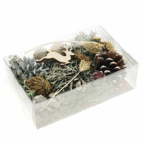 Floristik24 Set de artesanía floral seco conos de Adviento y musgo blanqueado 150g