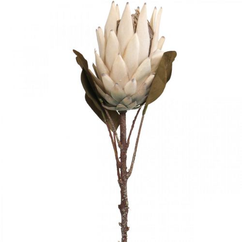 Protea Artificially Withered Drylook Beige Marrón Verde 72cm