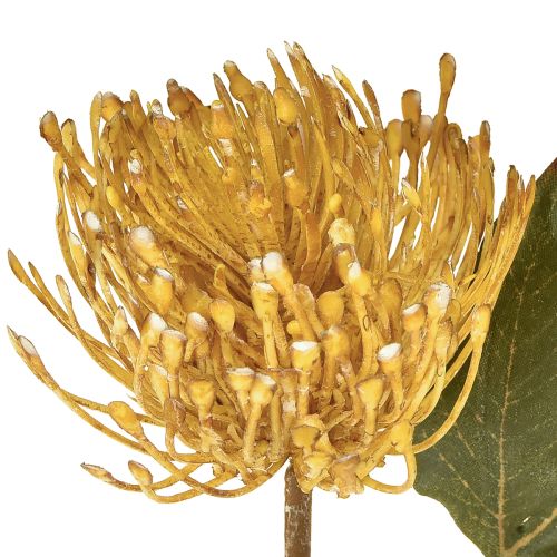 Artículo Alfiletero artificial de Protea Leucospermum amarillo 30cm 6 uds