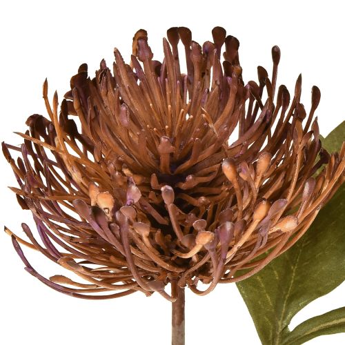 Artículo Alfiletero artificial Protea Leucospermum morado 30cm 6 uds